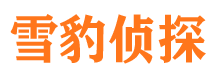 正安市婚外情调查